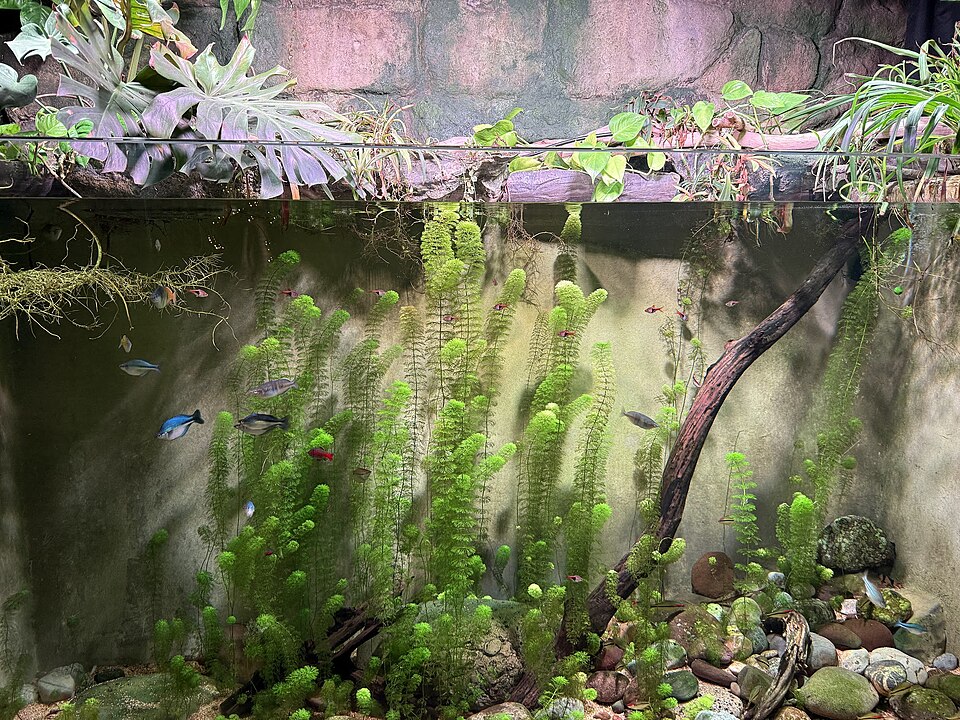 Reef & Fin Aquatics Supply